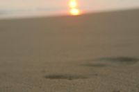 img_7951