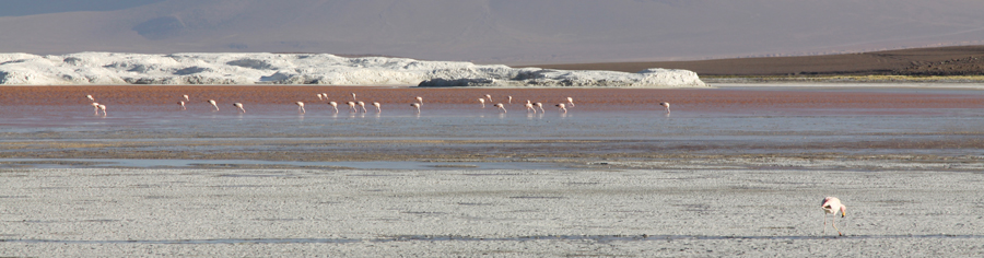 Путешествие по Боливии. День 18. (18 февраля). Salar de Uyuni. Итоги.